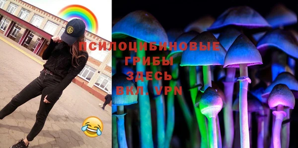 дживик Богородск