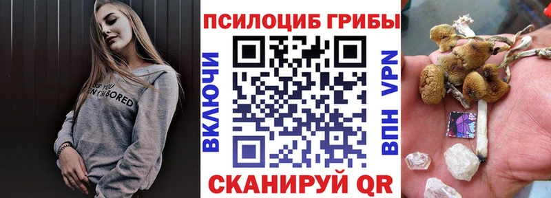 цена   Якутск  Галлюциногенные грибы Psilocybe 